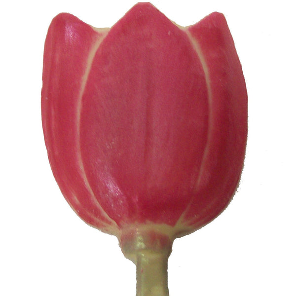 Lustered Tulip Pop