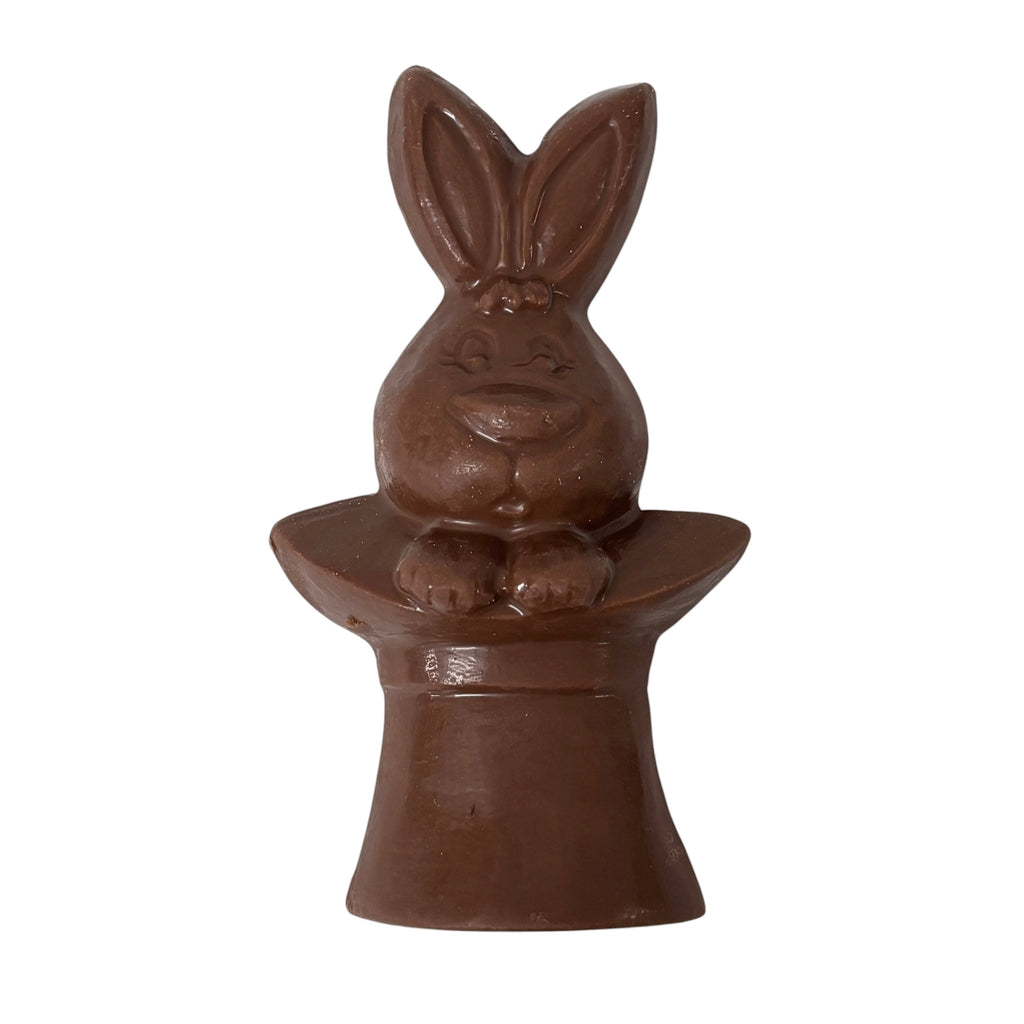 Rabbit in Hat