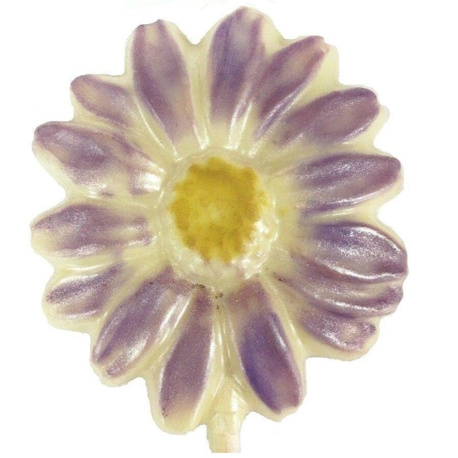 Lustered Daisy Pop