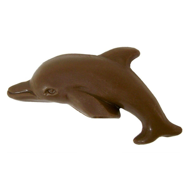 Dolphin Pop