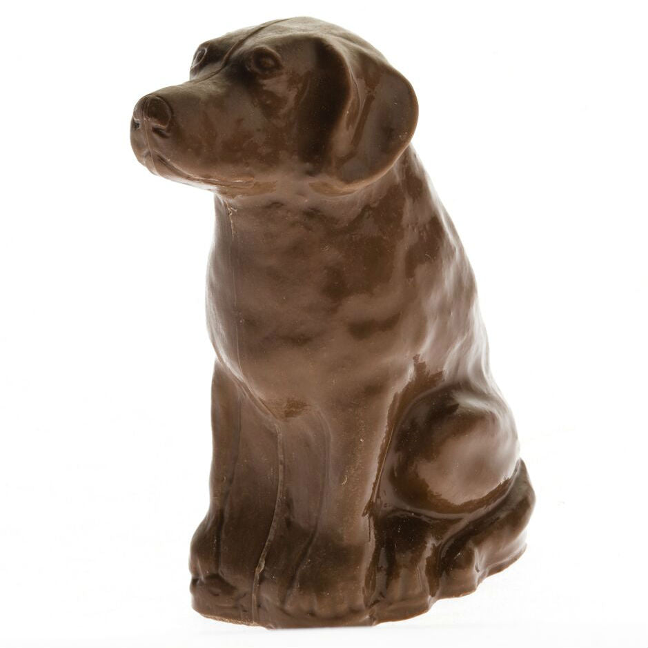 3D Chocolate Labrador - Henry