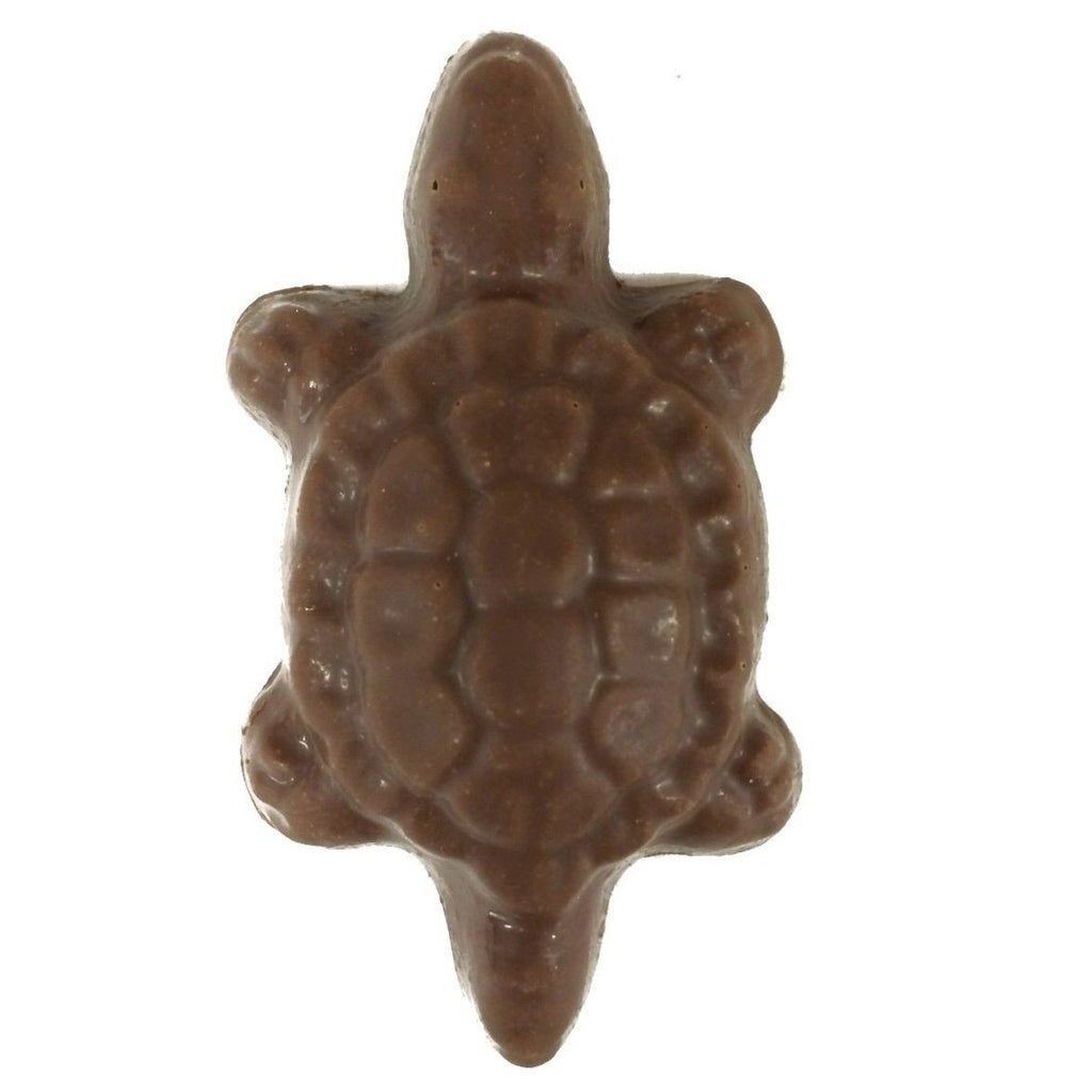 Turtle Pop-Small