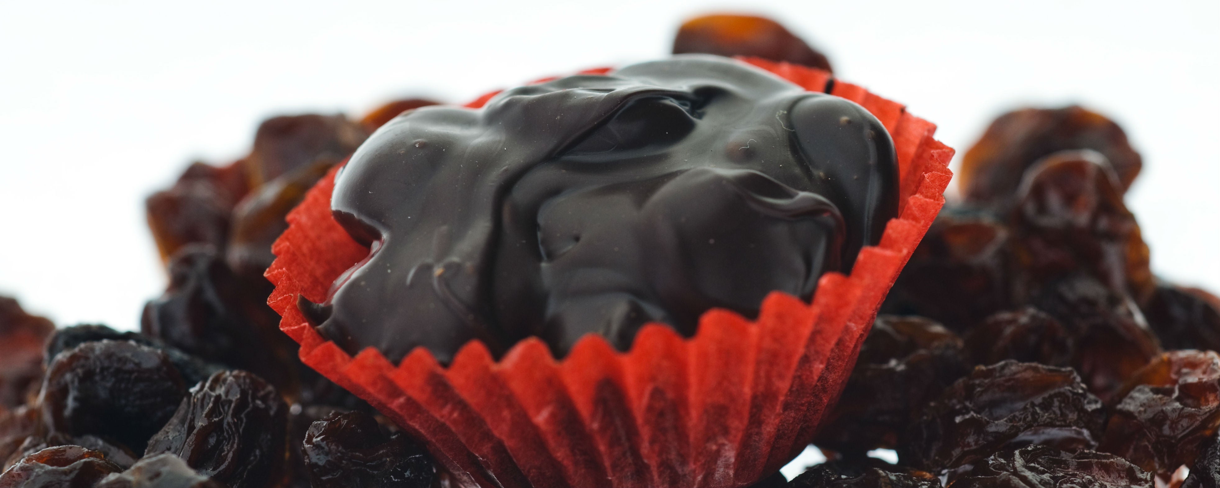 Cashew Bark- Extra Dark (72% Cocoa) Chocolate – Krause's Chocolates